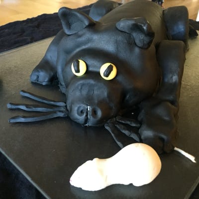 Handcrafted Cakes - Sparkle Cat Birthday Cake (2016)